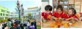 图片 13.png