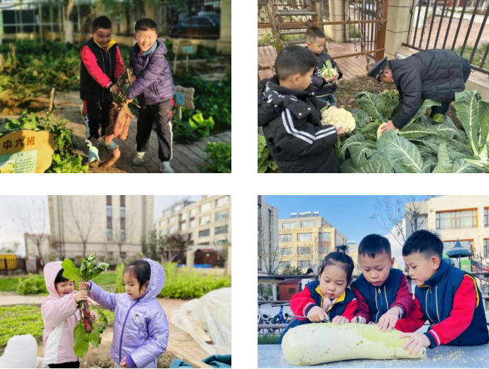 图片 4.png
