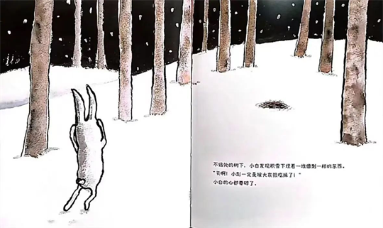 图片12.png